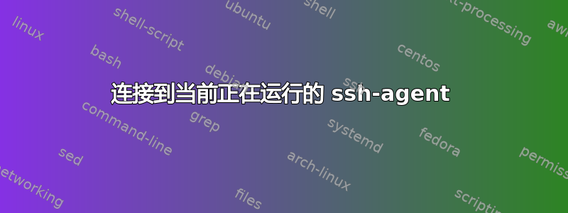 连接到当前正在运行的 ssh-agent