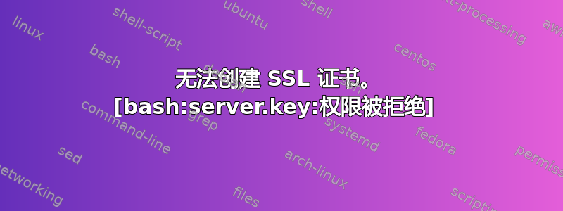 无法创建 SSL 证书。 [bash:server.key:权限被拒绝] 