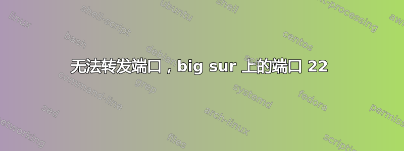 无法转发端口，big sur 上的端口 22