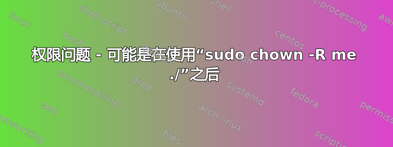 权限问题 - 可能是在使用“sudo chown -R me ./”之后