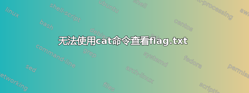 无法使用cat命令查看flag.txt