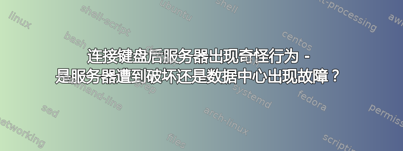 连接键盘后服务器出现奇怪行为 - 是服务器遭到破坏还是数据中心出现故障？