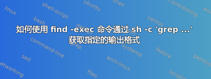 如何使用 find -exec 命令通过 sh -c 'grep ...' 获取指定的输出格式