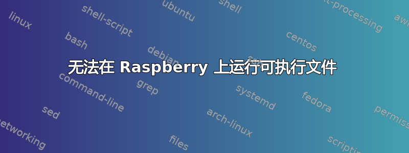 无法在 Raspberry 上运行可执行文件