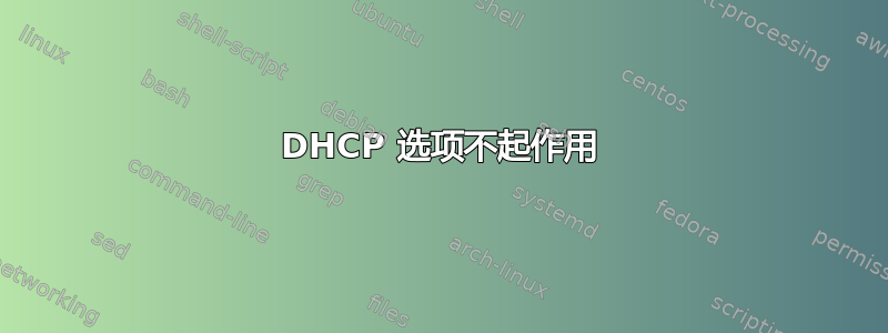 DHCP 选项不起作用