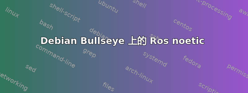 Debian Bullseye 上的 Ros noetic