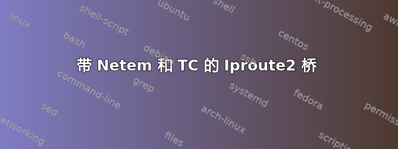 带 Netem 和 TC 的 Iproute2 桥