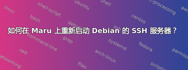 如何在 Maru 上重新启动 Debian 的 SSH 服务器？