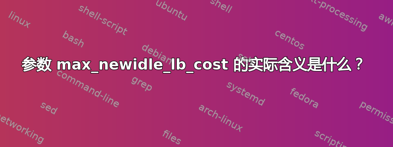 参数 max_newidle_lb_cost 的实际含义是什么？