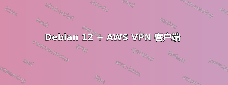 Debian 12 + AWS VPN 客户端