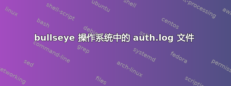 bullseye 操作系统中的 auth.log 文件