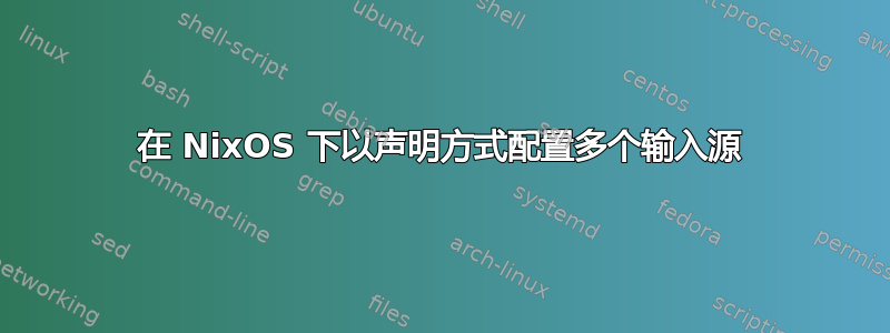 在 NixOS 下以声明方式配置多个输入源