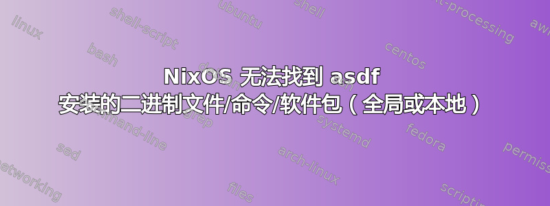 NixOS 无法找到 asdf 安装的二进制文件/命令/软件包（全局或本地）