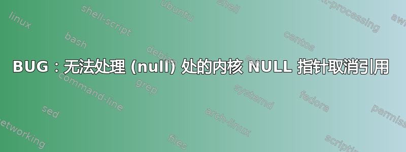 BUG：无法处理 (null) 处的内核 NULL 指针取消引用