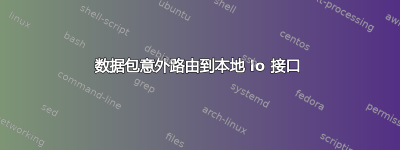 数据包意外路由到本地 lo 接口