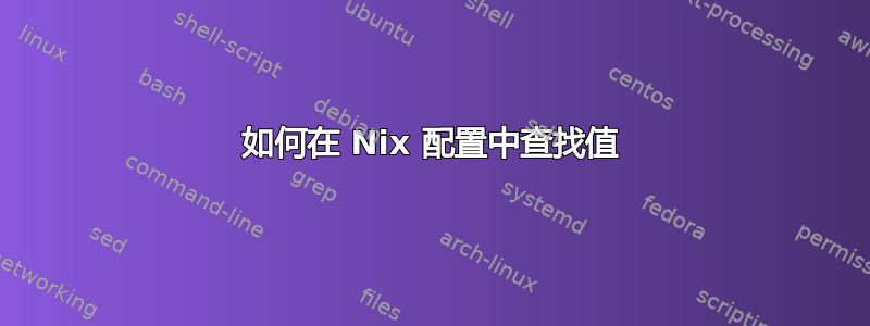 如何在 Nix 配置中查找值