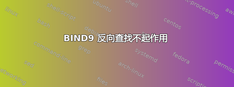 BIND9 反向查找不起作用