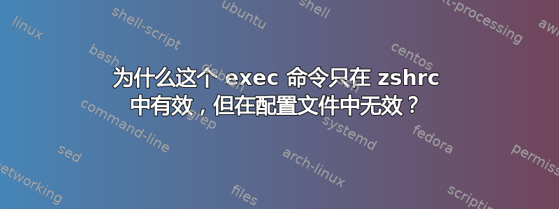 为什么这个 exec 命令只在 zshrc 中有效，但在配置文件中无效？