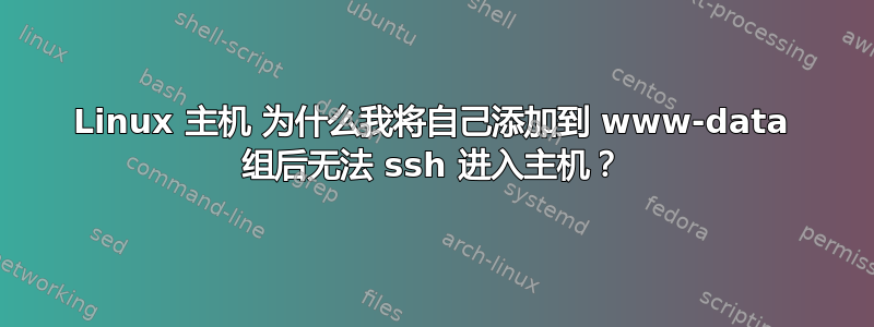 Linux 主机 为什么我将自己添加到 www-data 组后无法 ssh 进入主机？