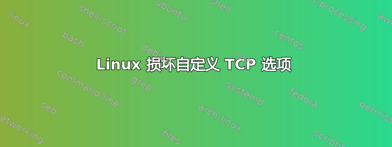 Linux 损坏自定义 TCP 选项