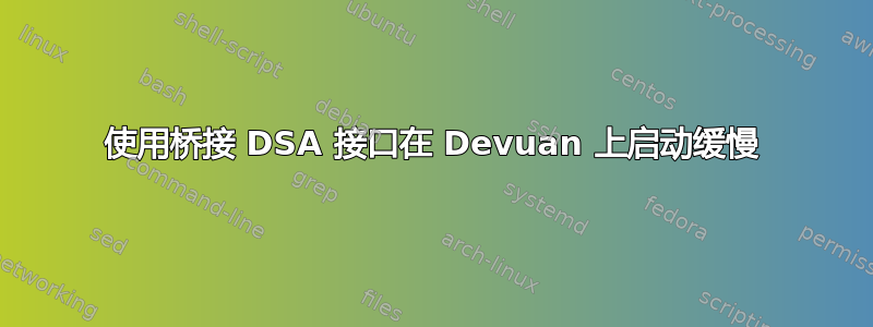 使用桥接 DSA 接口在 Devuan 上启动缓慢