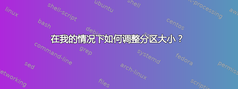 在我的情况下如何调整分区大小？