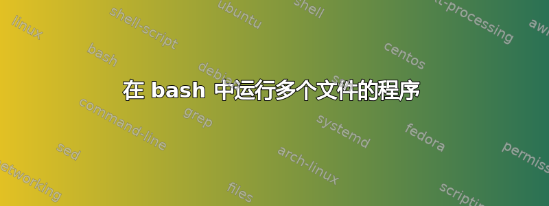 在 bash 中运行多个文件的程序