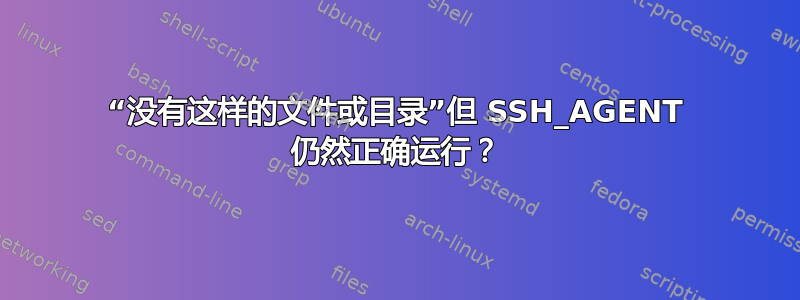 “没有这样的文件或目录”但 SSH_AGENT 仍然正确运行？