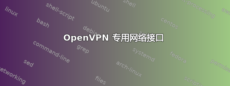 OpenVPN 专用网络接口