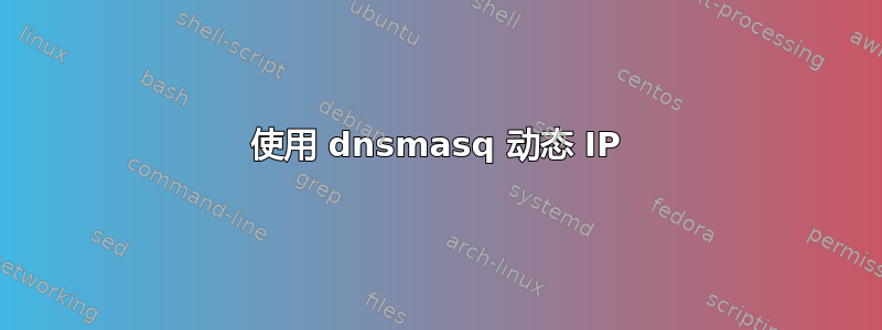 使用 dnsmasq 动态 IP