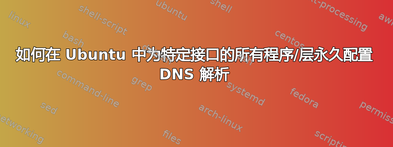 如何在 Ubuntu 中为特定接口的所有程序/层永久配置 DNS 解析