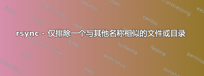 rsync - 仅排除一个与其他名称相似的文件或目录