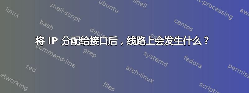 将 IP 分配给接口后，线路上会发生什么？