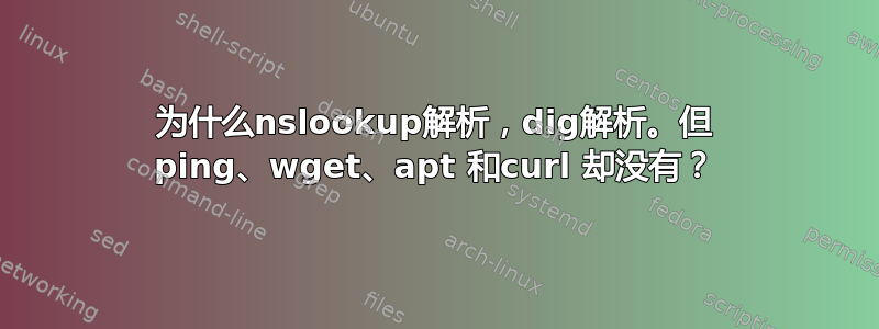 为什么nslookup解析，dig解析。但 ping、wget、apt 和curl 却没有？