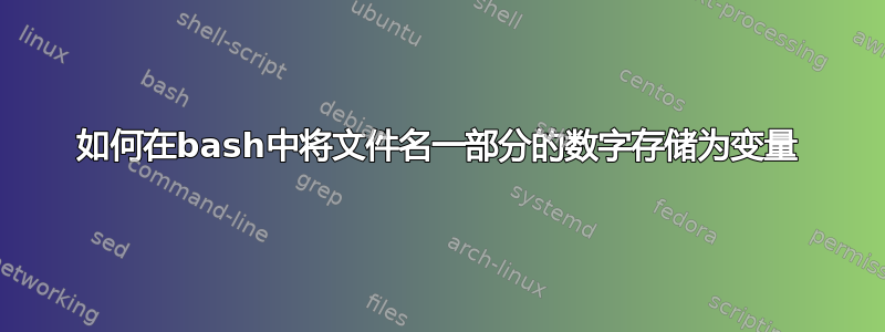 如何在bash中将文件名一部分的数字存储为变量