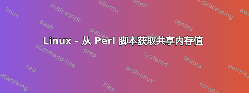 Linux - 从 Perl 脚本获取共享内存值