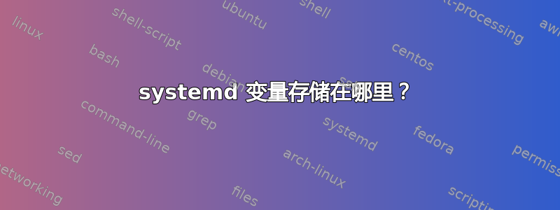 systemd 变量存储在哪里？