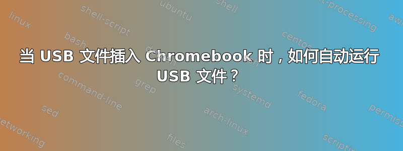 当 USB 文件插入 Chromebook 时，如何自动运行 USB 文件？