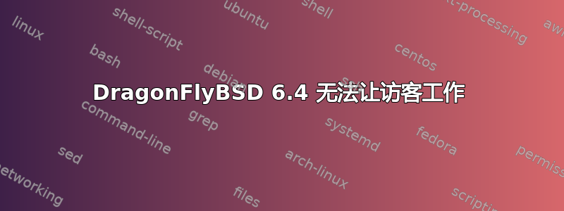 DragonFlyBSD 6.4 无法让访客工作