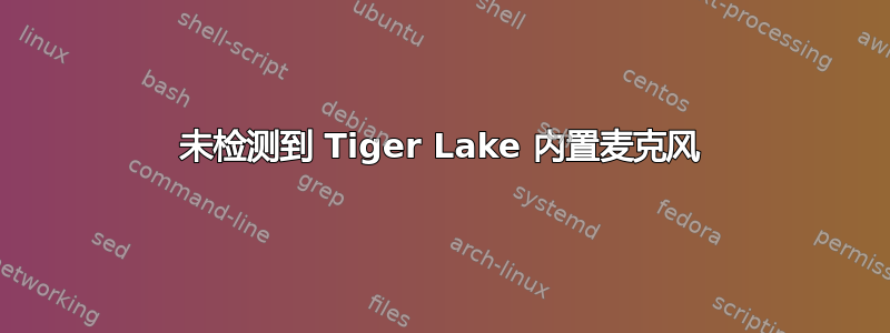 未检测到 Tiger Lake 内置麦克风