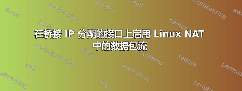 在桥接 IP 分配的接口上启用 Linux NAT 中的数据包流