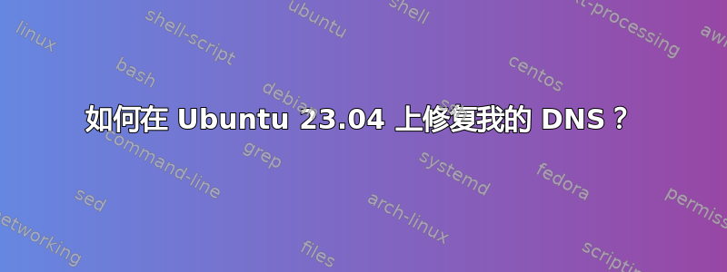 如何在 Ubuntu 23.04 上修复我的 DNS？