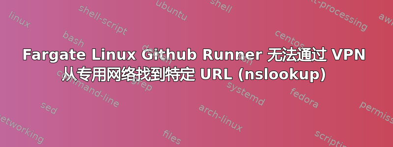 Fargate Linux Github Runner 无法通过 VPN 从专用网络找到特定 URL (nslookup)