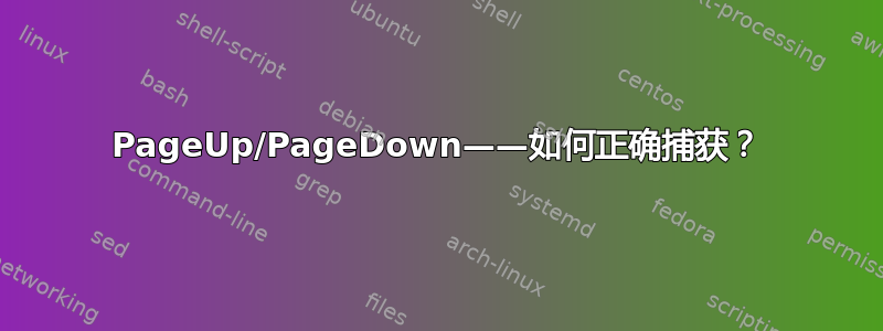 PageUp/PageDown——如何正确捕获？