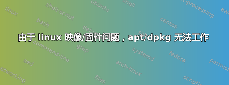 由于 linux 映像/固件问题，apt/dpkg 无法工作