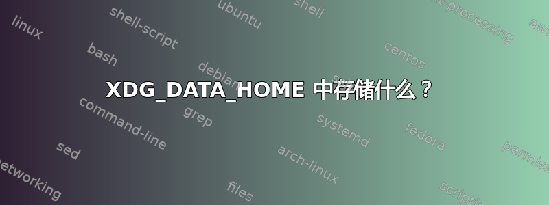 XDG_DATA_HOME 中存储什么？