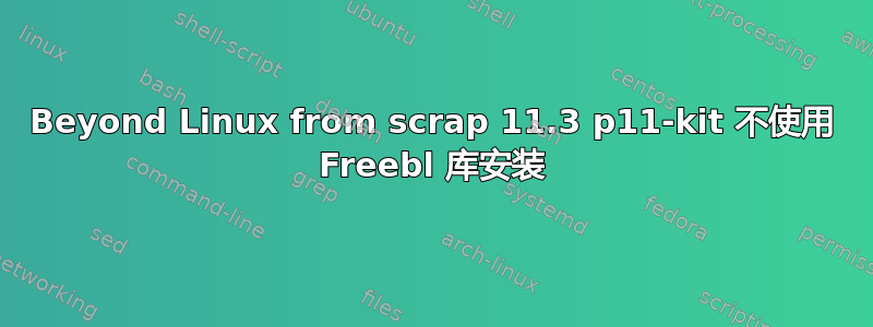 Beyond Linux from scrap 11.3 p11-kit 不使用 Freebl 库安装