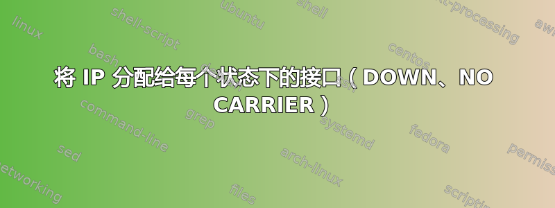 将 IP 分配给每个状态下的接口（DOWN、NO CARRIER）