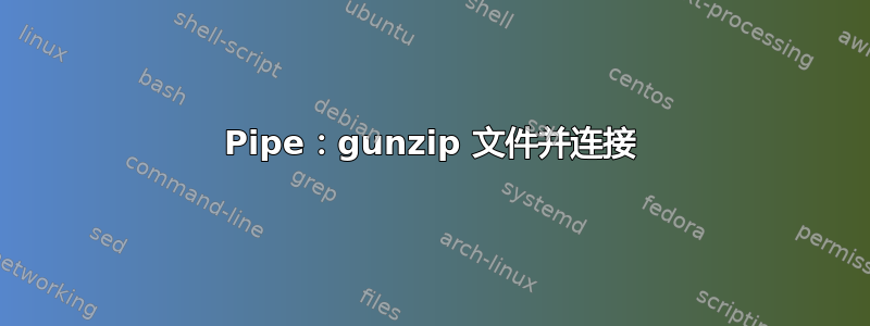 Pipe：gunzip 文件并连接