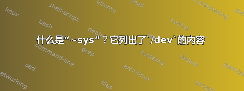 什么是“~sys”？它列出了`/dev`的内容